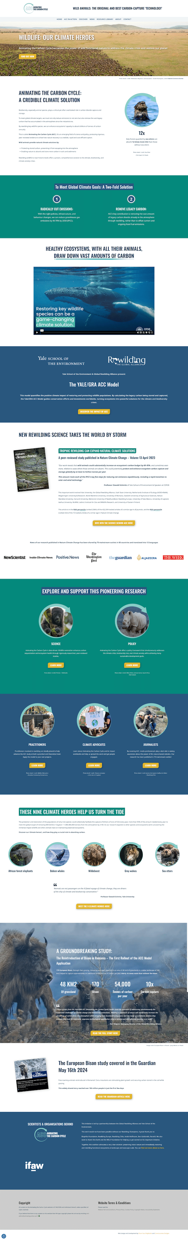 Animating the Carbon Cycle